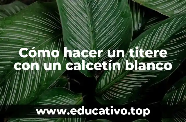 Cómo hacer un titere con un calcetín blanco