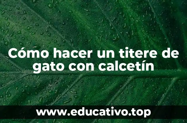 Cómo hacer un titere de gato con calcetín
