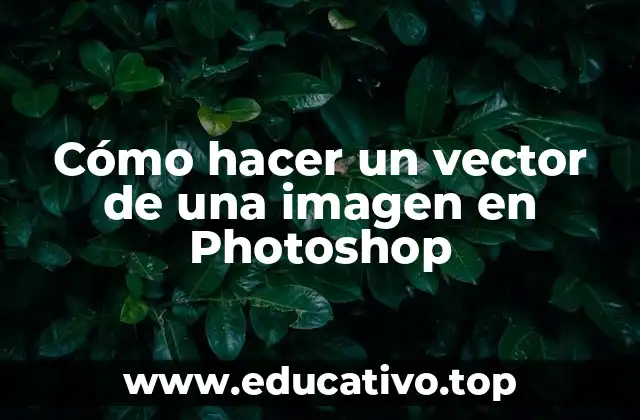 Cómo hacer un vector de una imagen en Photoshop