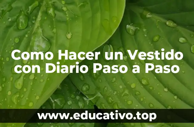 Como Hacer un Vestido con Diario Paso a Paso