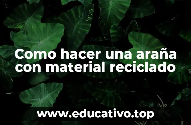 Como hacer una araña con material reciclado