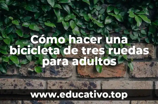 Cómo hacer una bicicleta de tres ruedas para adultos