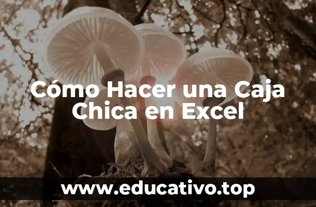 Cómo Hacer una Caja Chica en Excel