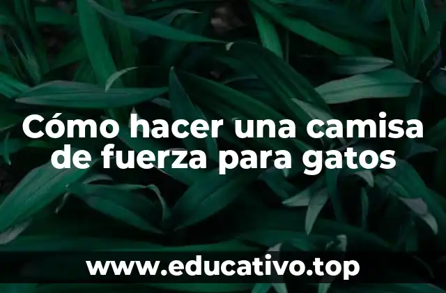 Cómo hacer una camisa de fuerza para gatos