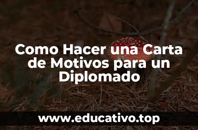 Como Hacer una Carta de Motivos para un Diplomado