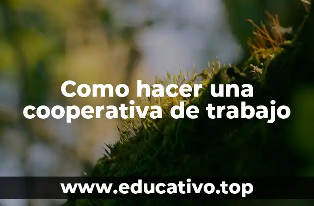 Como hacer una cooperativa de trabajo