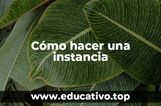 Cómo hacer una instancia