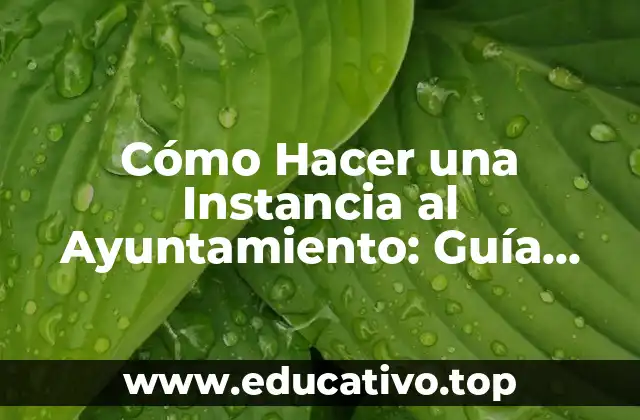 Cómo Hacer una Instancia al Ayuntamiento: Guía Detallada y Completa