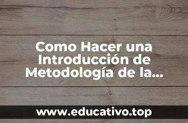 Como Hacer una Introducción de Metodología de la Investigación