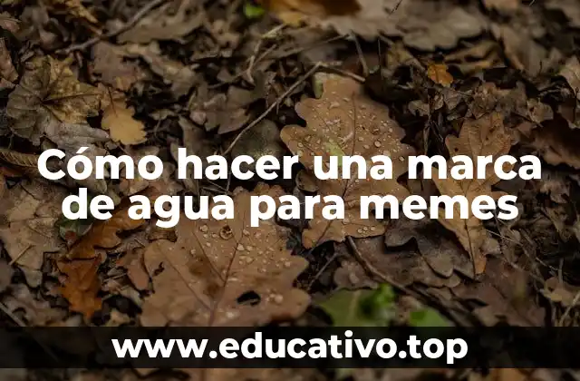 ¿Qué es una marca de agua y para qué sirve en memes?