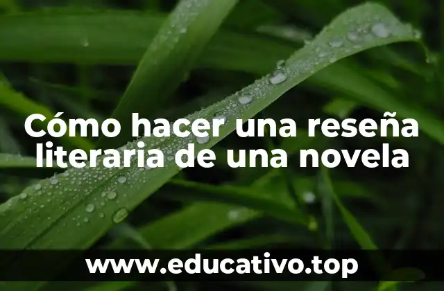 Cómo hacer una reseña literaria de una novela