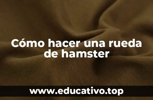 Cómo hacer una rueda de hamster