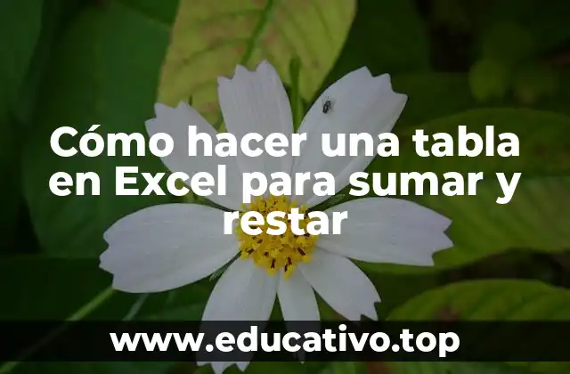 Cómo hacer una tabla en Excel para sumar y restar