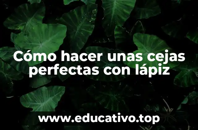 Cómo hacer unas cejas perfectas con lápiz
