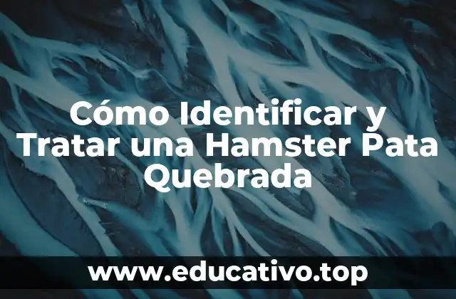 ¿Qué Causa una Hamster Pata Quebrada?