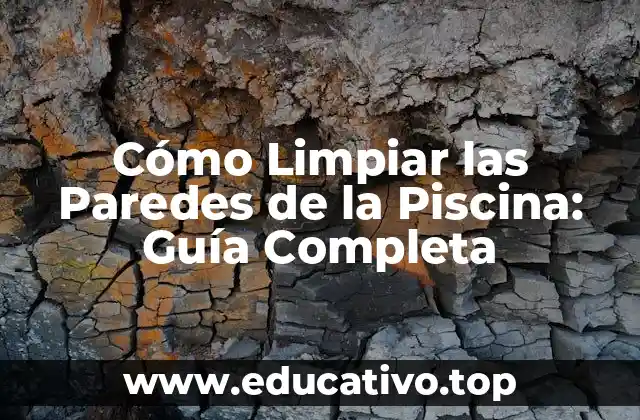 Cómo Limpiar las Paredes de la Piscina: Guía Completa