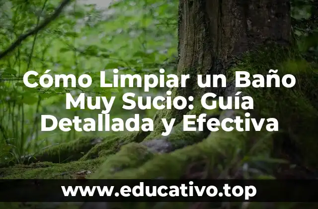 Preparación para Limpiar un Baño Muy Sucio