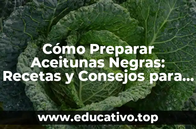 Cómo Preparar Aceitunas Negras: Recetas y Consejos para Disfrutar de Este Delicioso Ingrediente