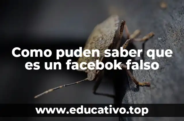 Como puden saber que es un facebok falso