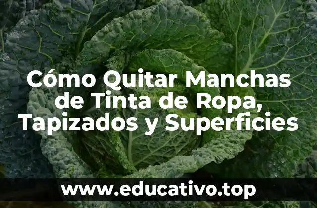 Cómo Quitar Manchas de Tinta de Ropa, Tapizados y Superficies