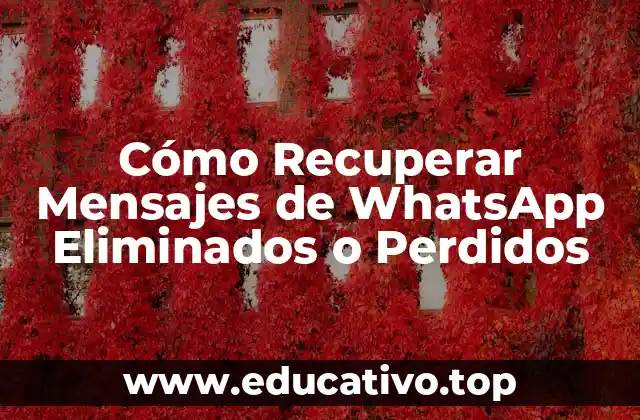 Cómo Recuperar Mensajes de WhatsApp Eliminados o Perdidos