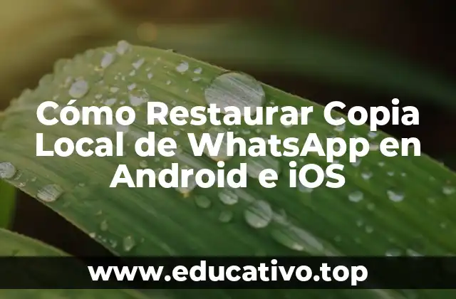 Cómo Restaurar Copia Local de WhatsApp en Android e iOS