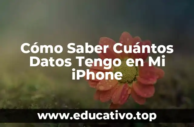 Cómo Saber Cuántos Datos Tengo en Mi iPhone