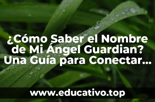 ¿Cómo Saber el Nombre de Mi Ángel Guardian? Una Guía para Conectar con la Esencia Divina
