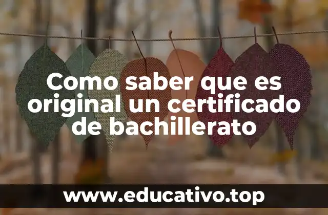 Cómo distinguir entre un certificado auténtico y una falsificación
