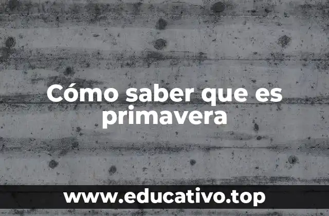 Cómo identificar el inicio de la estación cálida sin usar fechas exactas