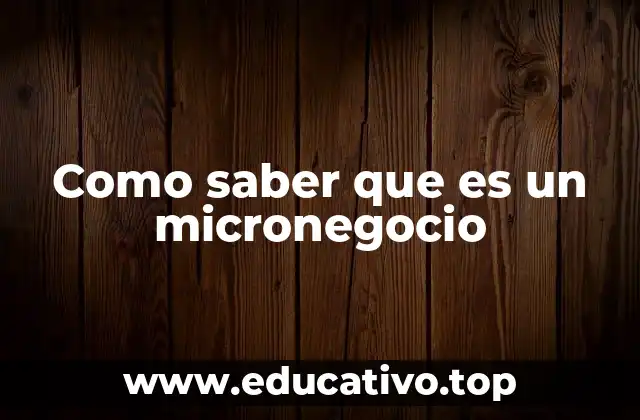Como saber que es un micronegocio