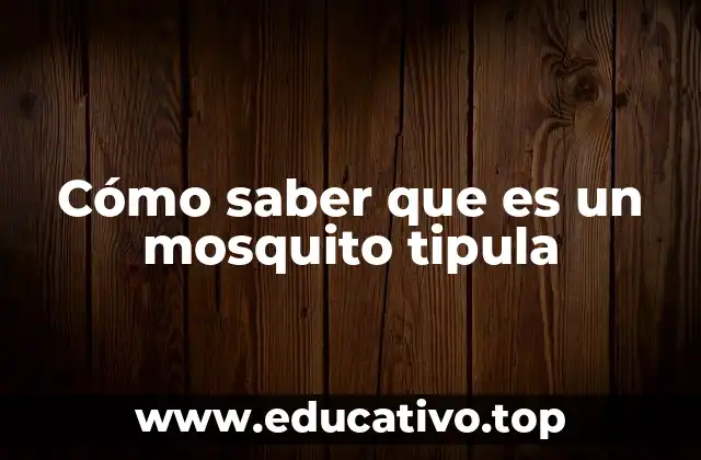 Diferencias entre el mosquito tipula y otros insectos similares