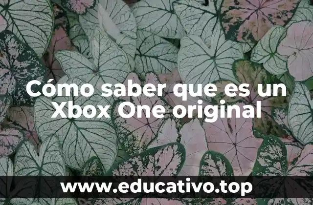 Cómo identificar una consola de juego auténtica sin mencionar Xbox One