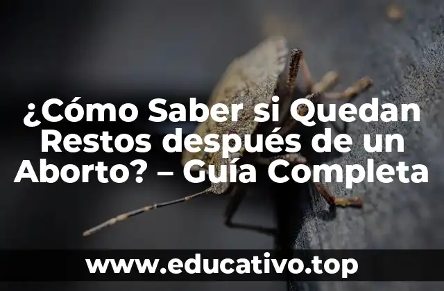 ¿Cómo Saber si Quedan Restos después de un Aborto? – Guía Completa