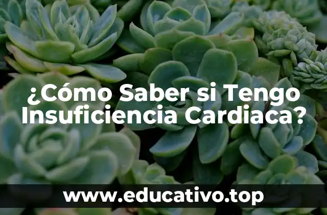 ¿Cómo Saber si Tengo Insuficiencia Cardiaca?