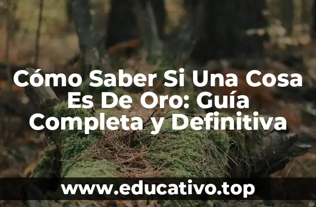 Cómo Saber Si Una Cosa Es De Oro: Guía Completa y Definitiva