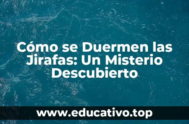 Cómo se Duermen las Jirafas: Un Misterio Descubierto