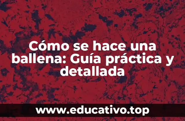 Cómo se hace una ballena: Guía práctica y detallada