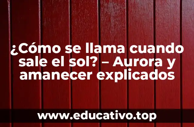 La ciencia detrás de como se llama cuando sale el sol
