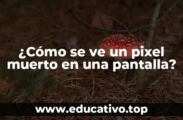 ¿Cómo se ve un pixel muerto en una pantalla?