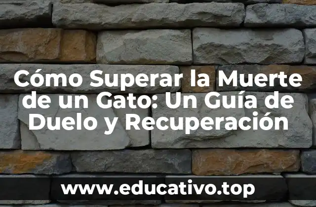 Cómo Superar la Muerte de un Gato: Un Guía de Duelo y Recuperación