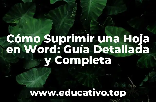 Cómo Suprimir una Hoja en Word: Guía Detallada y Completa