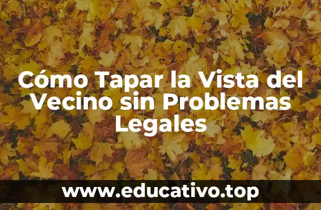 Cómo Tapar la Vista del Vecino sin Problemas Legales