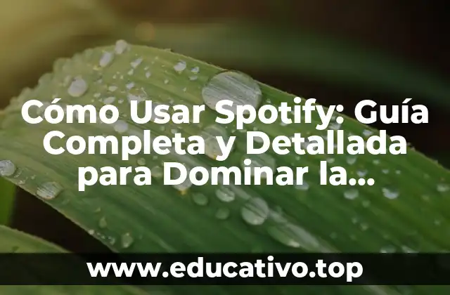 Ventajas de Usar Spotify - ¿Por qué Debes Probarla?