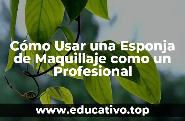 Cómo Usar una Esponja de Maquillaje como un Profesional
