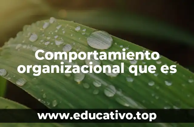 Comportamiento organizacional que es