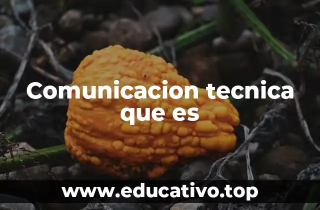 Comunicacion tecnica que es