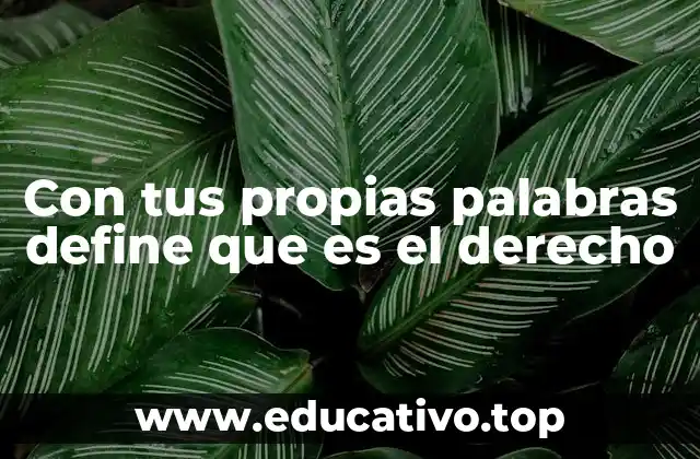 Con tus propias palabras define que es el derecho