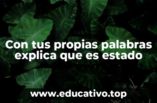 Con tus propias palabras explica que es estado