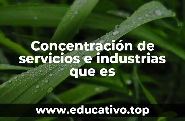 Concentración de servicios e industrias que es